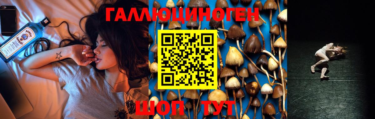 Иркутск  Псилоцибиновые грибы Magic Shrooms  Вход с VPN 